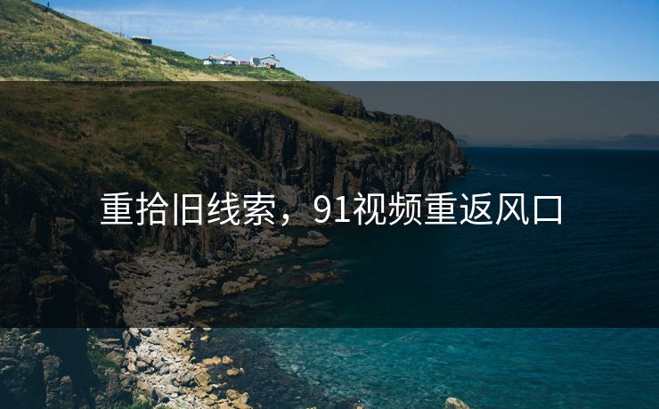 重拾旧线索，91视频重返风口