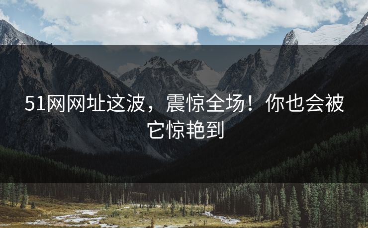 51网网址这波，震惊全场！你也会被它惊艳到