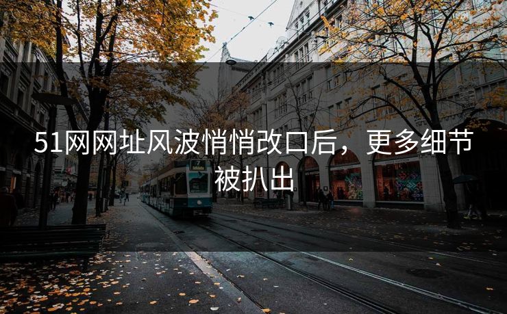 51网网址风波悄悄改口后，更多细节被扒出
