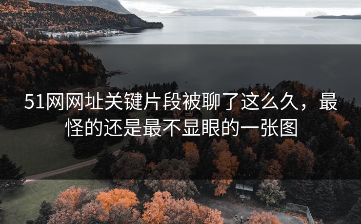 51网网址关键片段被聊了这么久，最怪的还是最不显眼的一张图