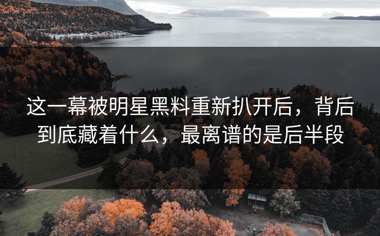 这一幕被明星黑料重新扒开后，背后到底藏着什么，最离谱的是后半段