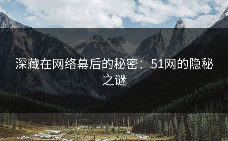 深藏在网络幕后的秘密：51网的隐秘之谜